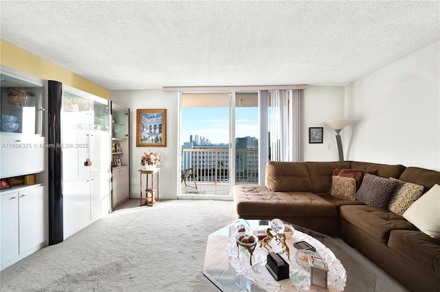 living area featuring expansive windows, carpet flooring, a textured ceiling, and a city view