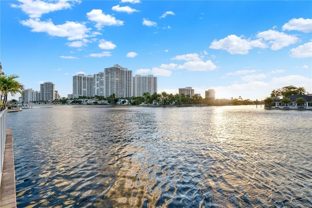 water view featuring a view of city