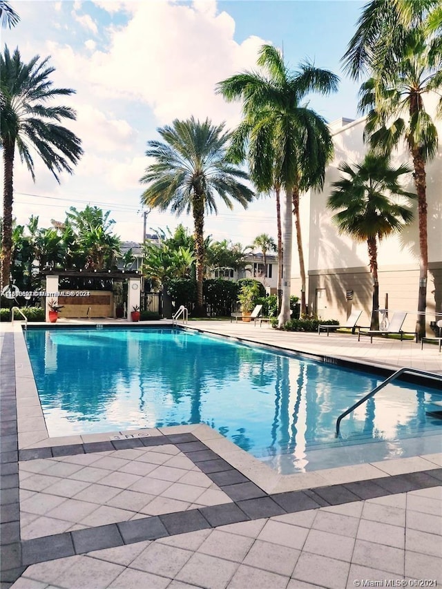 view of pool with a patio area