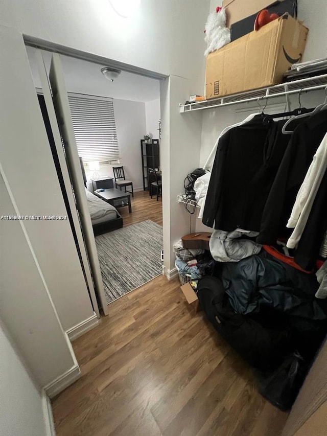 spacious closet with wood-type flooring