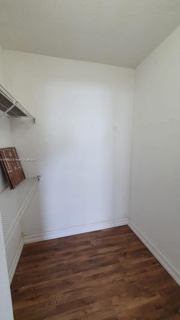 walk in closet featuring dark wood-type flooring