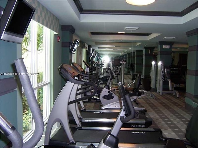 workout area featuring carpet