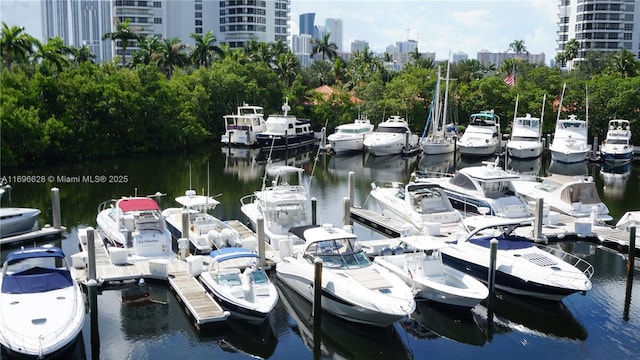 dock area featuring a water view