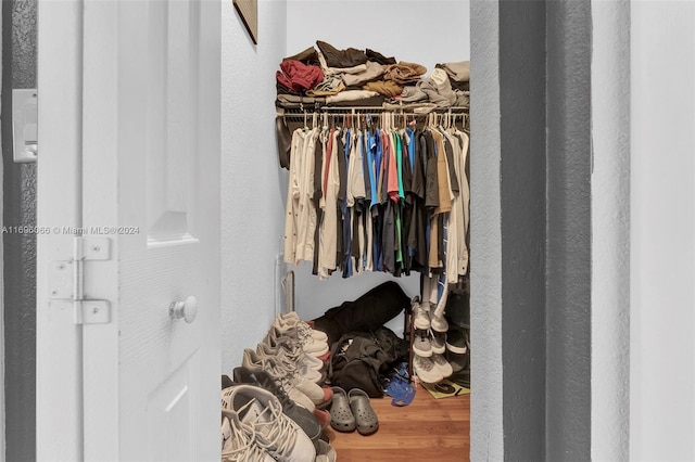 spacious closet with wood-type flooring