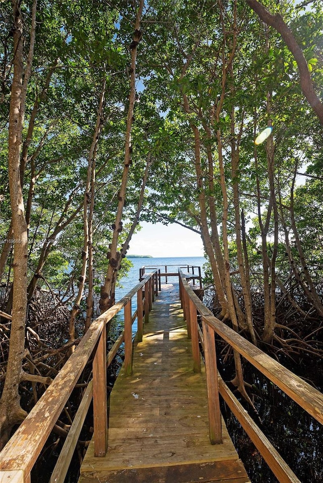 view of dock featuring a water view