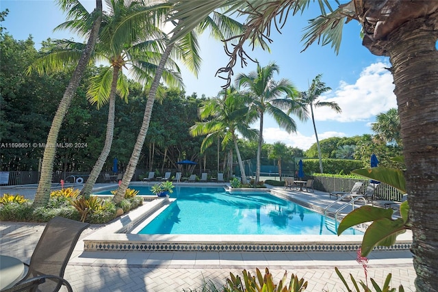 view of swimming pool featuring a patio area