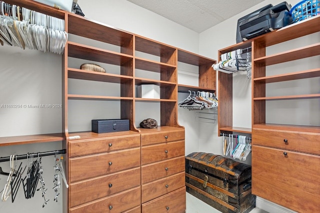 view of walk in closet