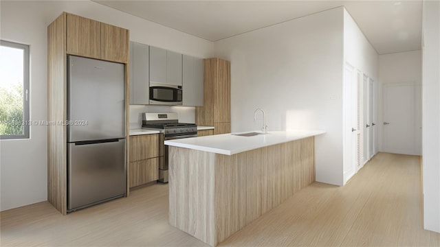 kitchen with kitchen peninsula, stainless steel appliances, light hardwood / wood-style flooring, and sink