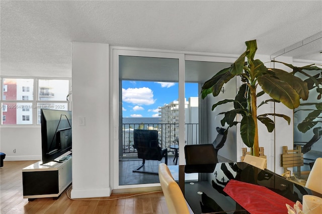 office area with light hardwood / wood-style flooring, expansive windows, and a textured ceiling