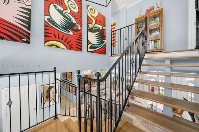 stairway with wood-type flooring