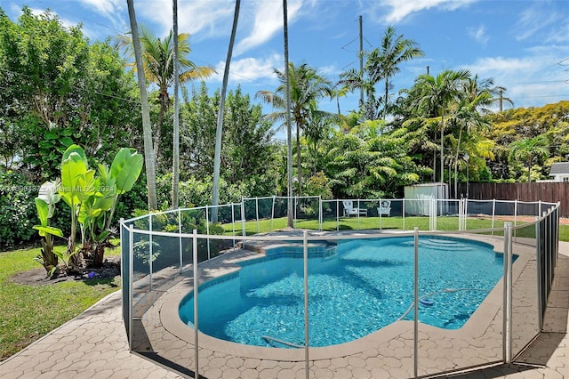 view of swimming pool with a shed