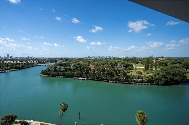 property view of water with a city view