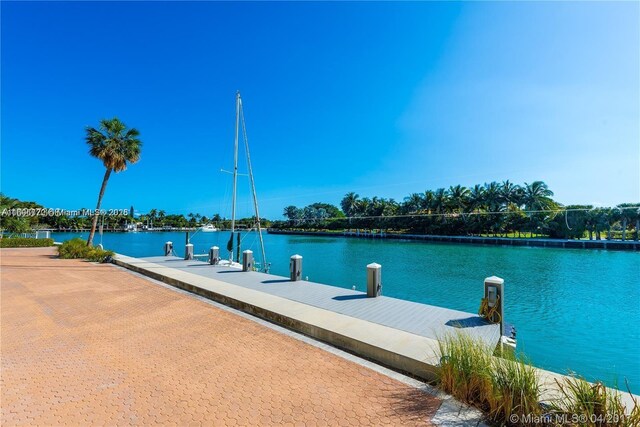 dock area with a water view