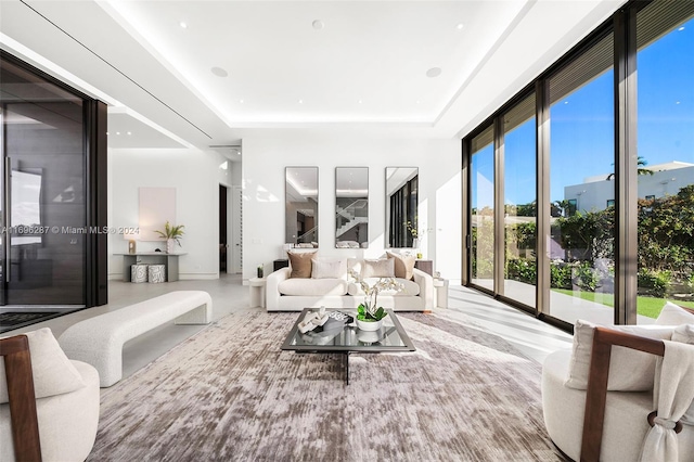 living room featuring a tray ceiling