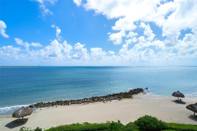 water view featuring a beach view