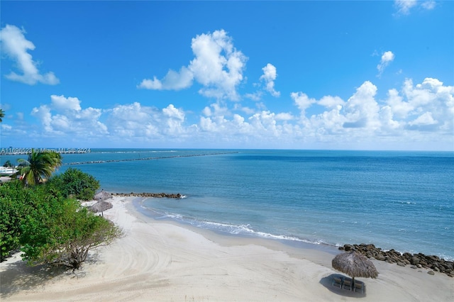 property view of water featuring a beach view