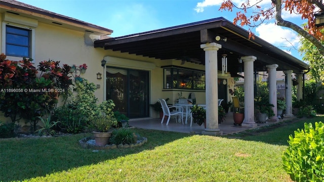 back of house featuring a patio area and a lawn