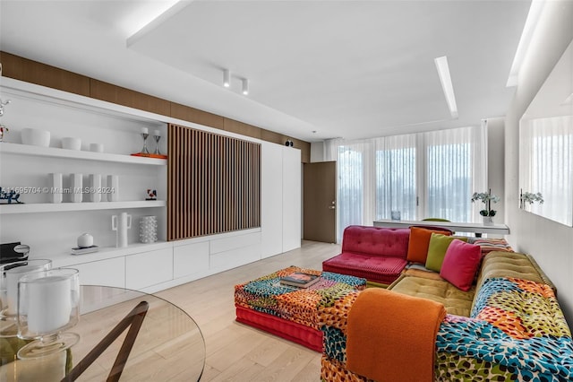 living room with light wood-type flooring