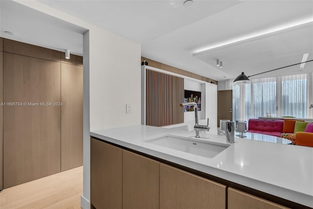 kitchen featuring light hardwood / wood-style flooring and sink