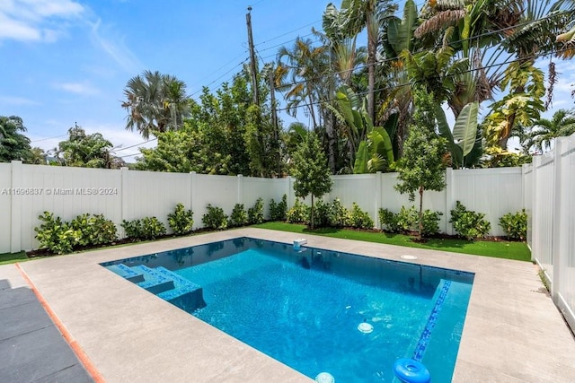 view of pool with a patio area