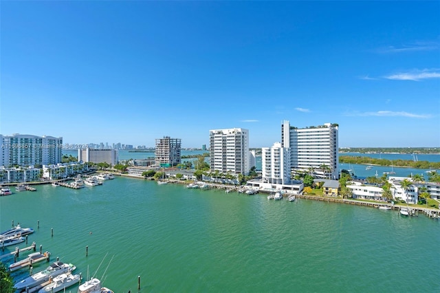 view of water feature with a city view