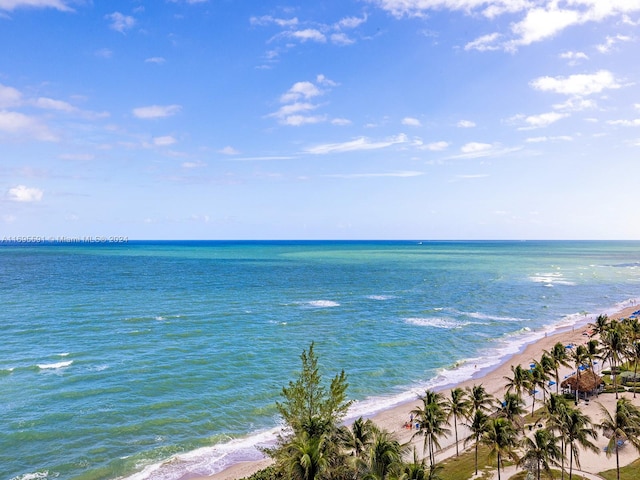 property view of water featuring a beach view