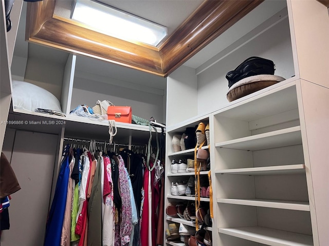 view of spacious closet