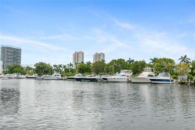 property view of water with a boat dock