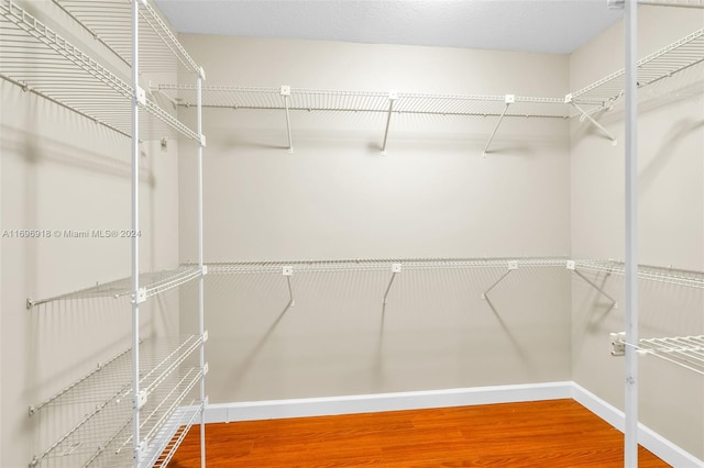 spacious closet with hardwood / wood-style floors