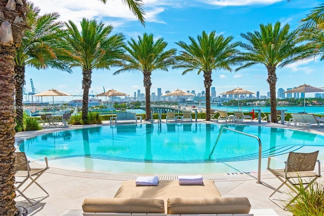 view of pool featuring a patio