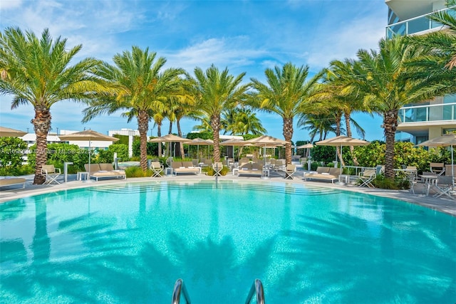 view of swimming pool featuring a patio area