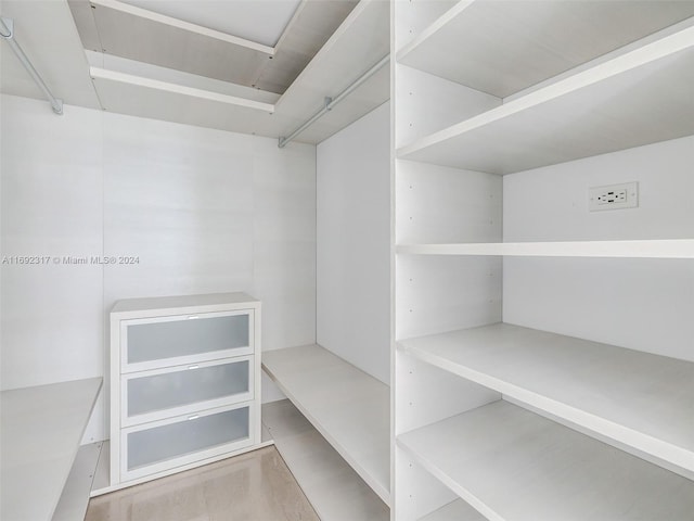 view of walk in closet