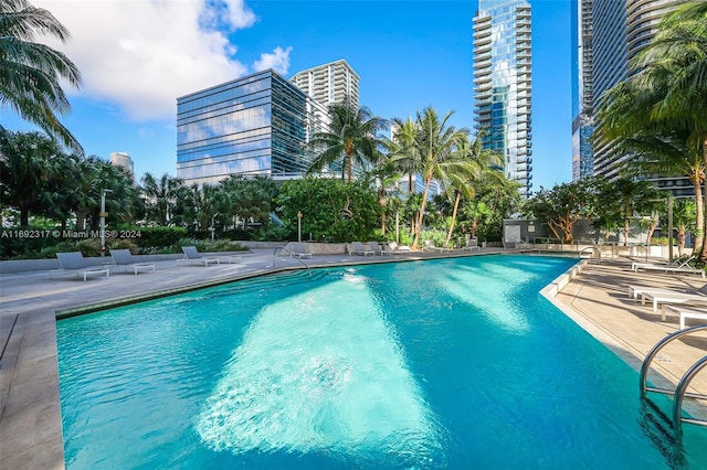 view of pool featuring a patio