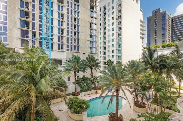 view of swimming pool featuring a patio