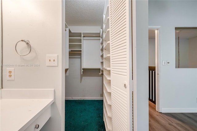 bathroom featuring hardwood / wood-style floors and a textured ceiling