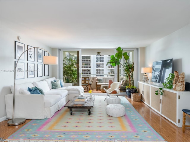 living room with hardwood / wood-style floors and expansive windows