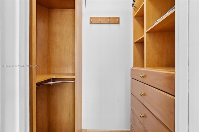 view of walk in closet