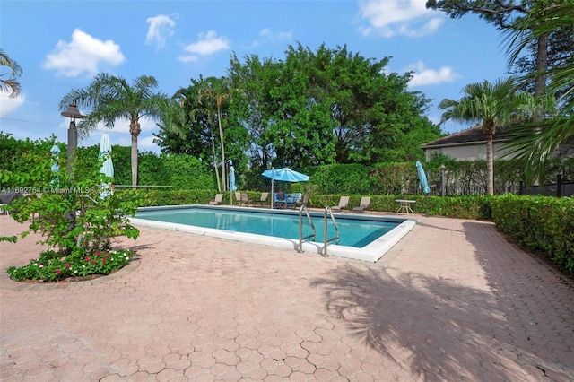 view of pool with a patio area