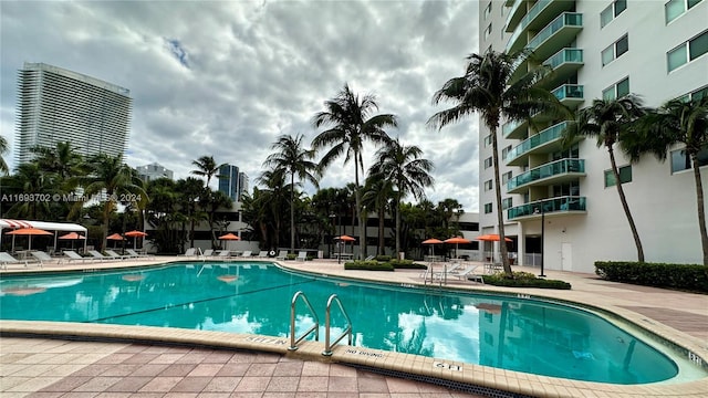 view of pool featuring a patio