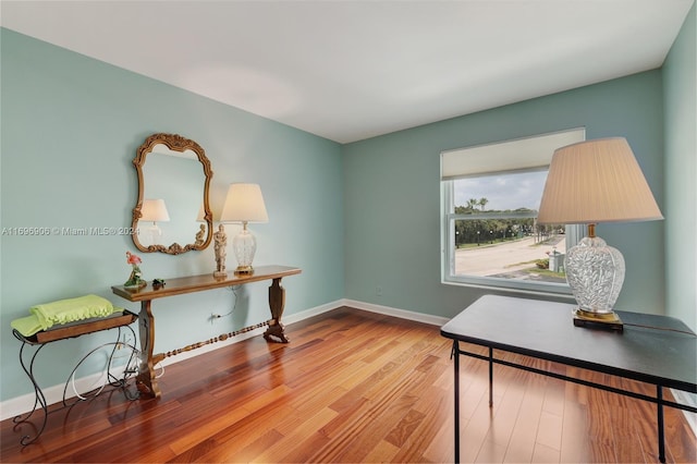 office featuring hardwood / wood-style flooring