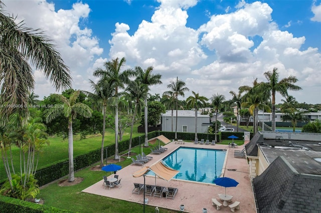 view of pool featuring a patio area and a yard