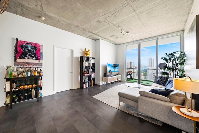 living room with dark wood-type flooring