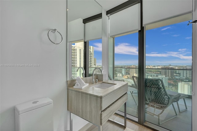 bathroom featuring toilet, vanity, and hardwood / wood-style flooring