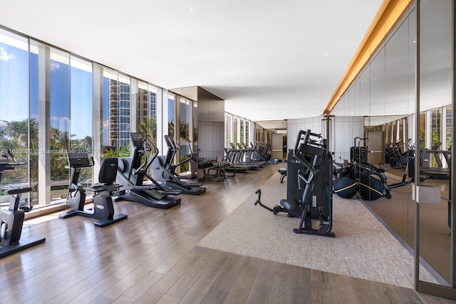 gym featuring hardwood / wood-style floors and a wall of windows