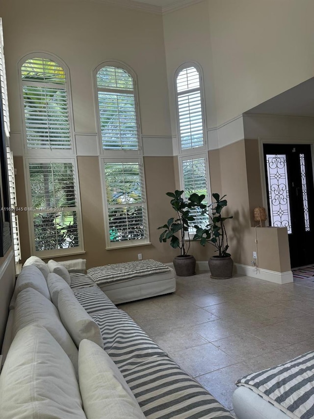 living room featuring crown molding and a high ceiling