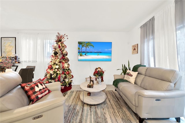 1707 SE 9th Ter, Homestead, FL 33034 - living room featuring plenty of natural light