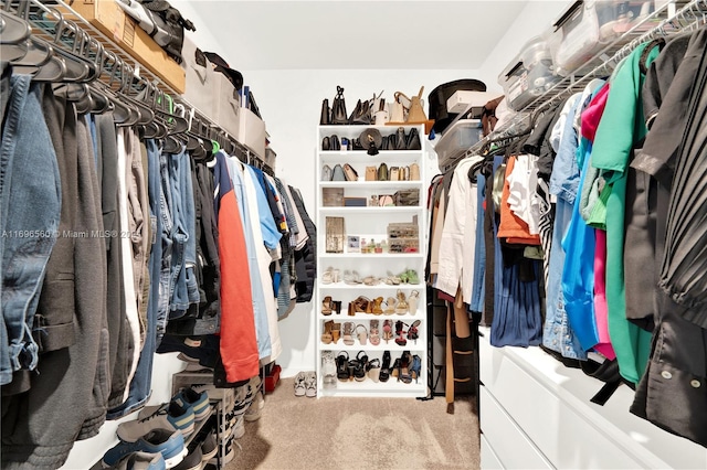 spacious closet featuring carpet flooring