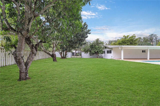 view of yard featuring a patio area