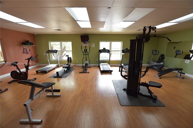 gym featuring a paneled ceiling and wood-type flooring