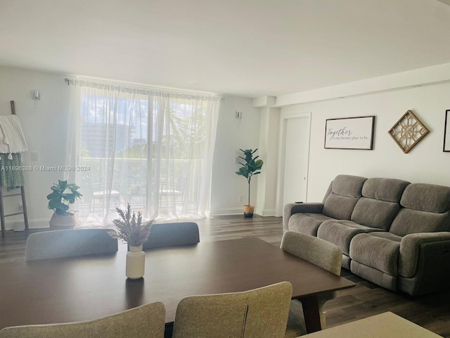 living room with dark hardwood / wood-style floors